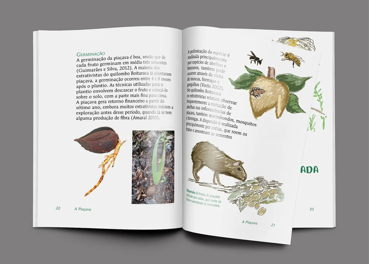 Livro de Ilustrações - Modelo 31 - Miolo