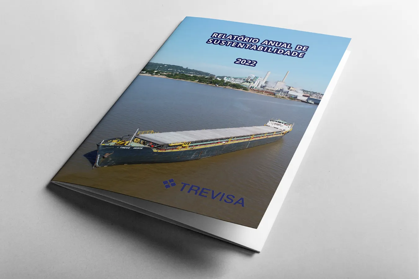 Relatório - Modelo 46 - Capa