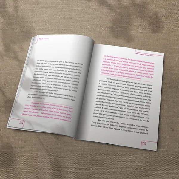 LIVROS (25)