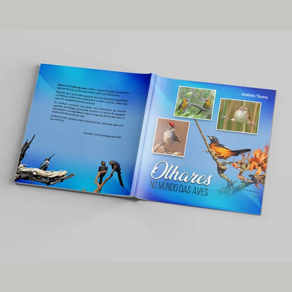 Square Magazine Mockup - Free Version capa-Recovered