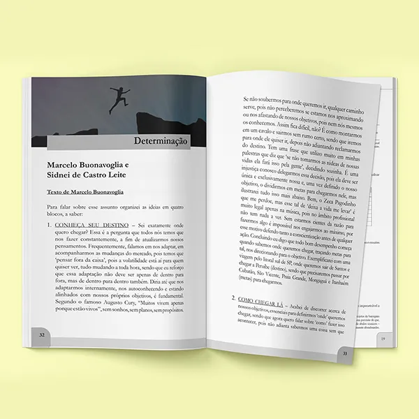 livro (10)