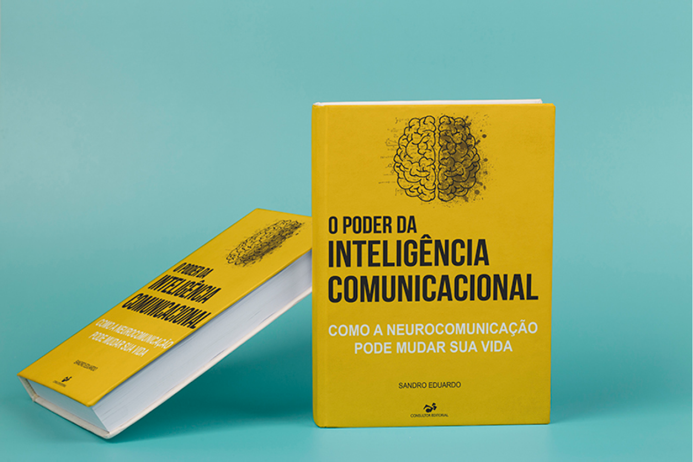 Livro Técnico - Modelo 31 - Capa